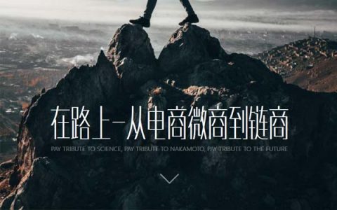 04-进化之路：从电商到链商