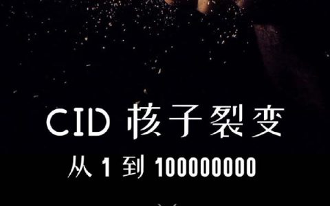 05-CID核子裂变-从1到100000000