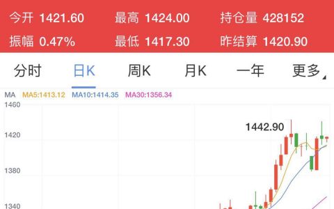 币价与金价齐涨：黑天鹅在即？