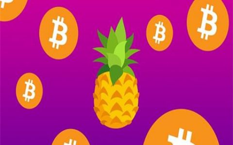 比特币用户捐赠5057个BTC设立凤梨基金 支持慈善事业