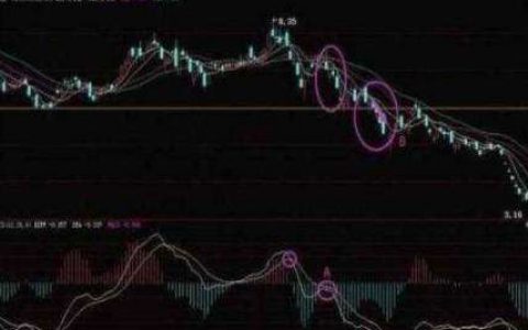 大饼的疯狂是结束还是积蓄力量再创新高？