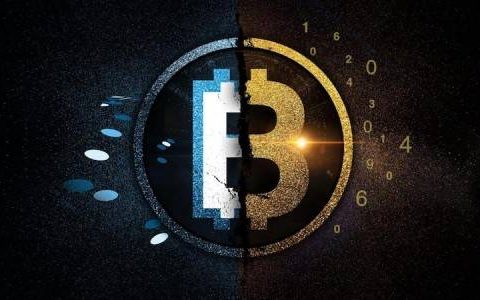数据分析：BCH和BSV逐渐成为数据存储区块链，与交易媒介愿景不符