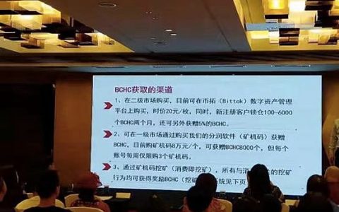 盖网转世 BCHC再设骗局 100倍回报你也信？