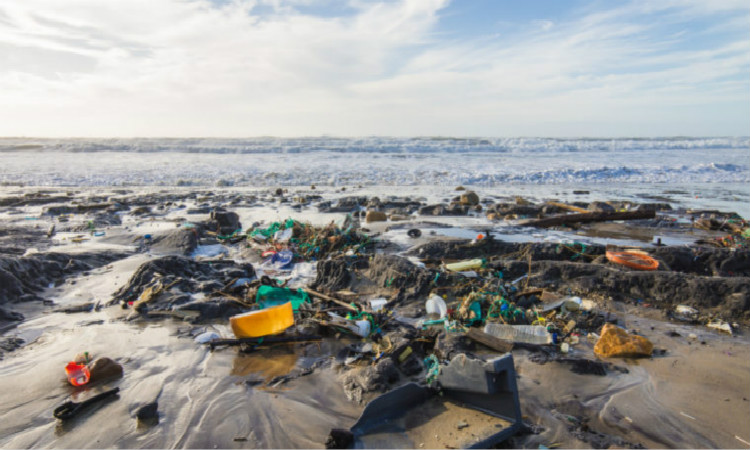 外媒：区块链技术或将解决全球海洋塑料污染危机