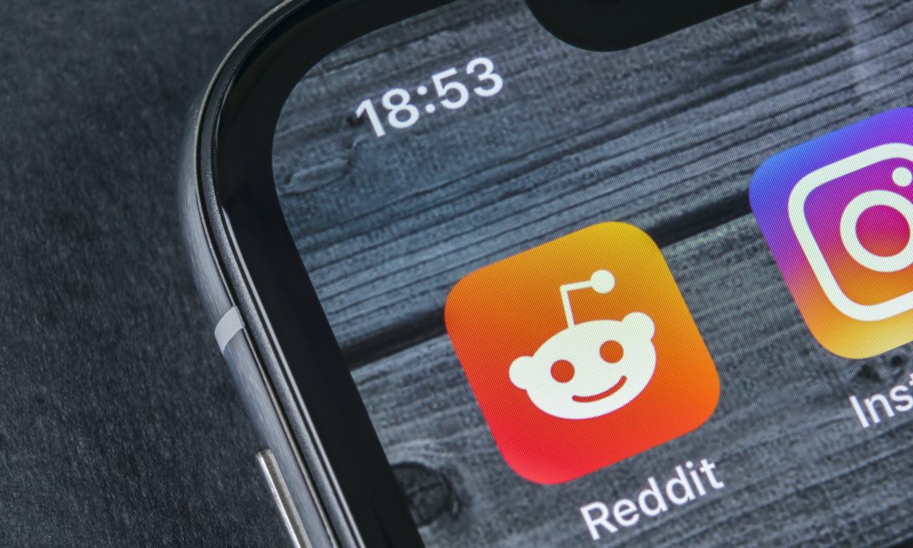 Sankt-Petersburg, Russia, April 12, 2018: Reddit application ico