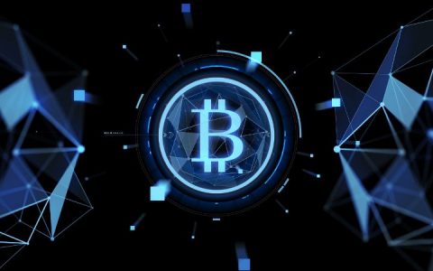 BTC链上数据透视：78%的巨鲸地址无支出，日活地址半年增长40%