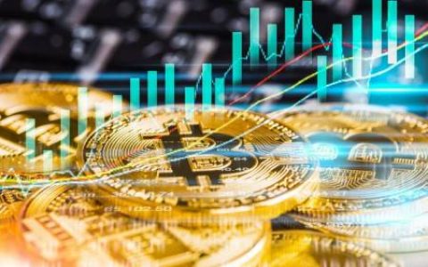 机构策略研究 | 人民还要继续想念山寨币一段时间