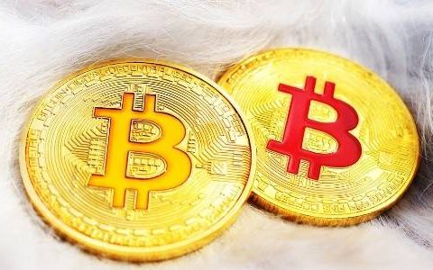比特币是自证预言？空气币也是吗？