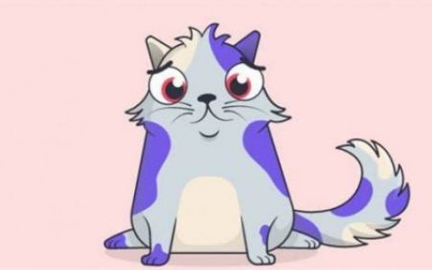 曾经红极一时的区块链游戏“加密猫”，现在怎么样了？