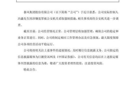 冯鑫被捕 暴风矿机夭折 昔日火热的IMO项目都怎么样了