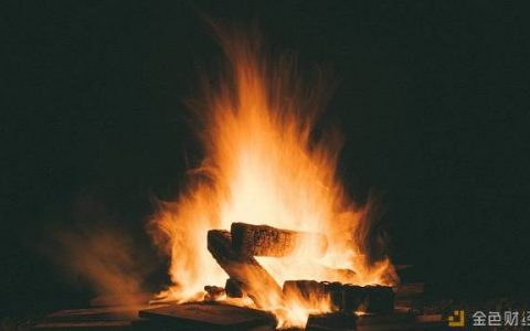 销毁一半XRP拉升币价 瑞波社区这个请愿你同意吗？