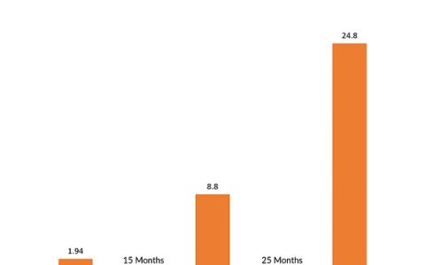 研究：加密公司究竟需要多少钱？