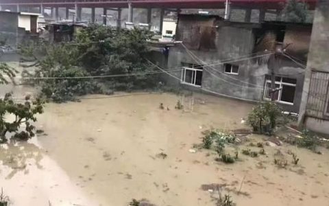 突发 四川水灾 价值百万的比特币矿机被水冲走