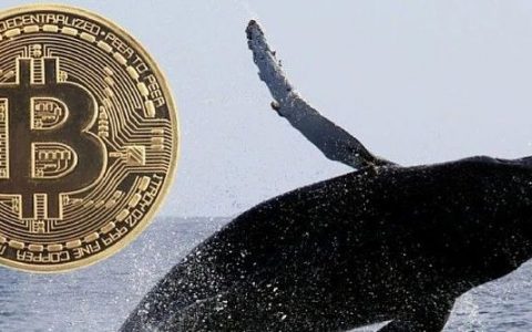 一文浅识比特币合约：繁荣的衍生品将为机构投资者入局铺路