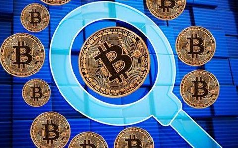 百万富翁利用区块链技术打造乌托邦社区，规模抵得上数十万个“韭菜庄园”